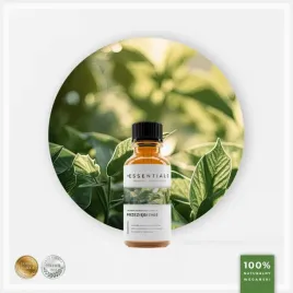 olejek-eteryczny-na-przeziebienie-essentials-10ml