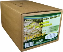 boczniak-uprawa-w-domu-balot-grzybnia-boczniaka-ostrygowatego