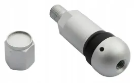 zawor-wentyl-do-czujnika-cisnienia-beru-tpms-05-1-sztuka