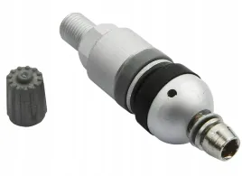 zawor-wentyl-do-czujnika-cisnienia-beru-tpms-02-1-sztuka-redats