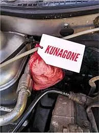odstraszacz-kunagone-przeciwko-kunom-rodzaj-odstraszacz