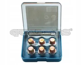 zestaw-do-naprawy-korka-oleju-m17x1-5-qs60168