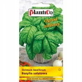 plantico-bazylia-salatowa