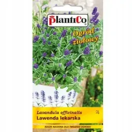 lawenda-lekarska