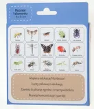 gra-memo-owady-wiek-dziecka-3-lata