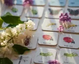 gra-memo-owady-bohater-brak