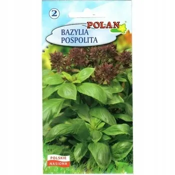 bazylia-pospolita-polan