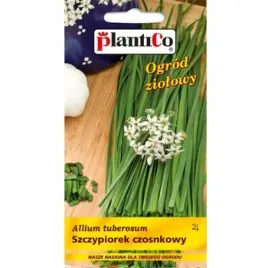 szczypiorek-czosnkowy