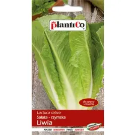 salata-liwia-plantico