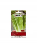 salata-liwia-plantico-rodzaj-rosliny-salata