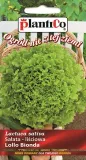 salata-lollo-bionda-lisciowa-styl-ogrod-wiejski