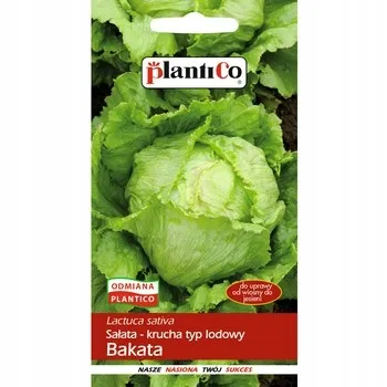 salata-bakata-plantico