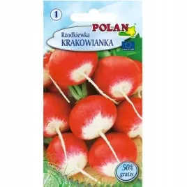 rzodkiewka-krakowianka-polan