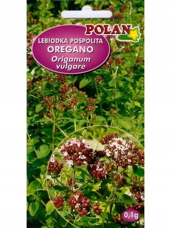 ogorek-grot-polan-cykl-rozwojowy-rosliny-jednoroczna