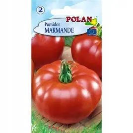 pomidor-marmande-polan