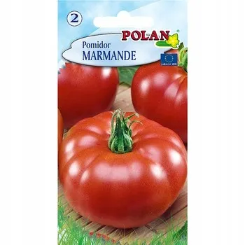 pomidor-marmande-polan