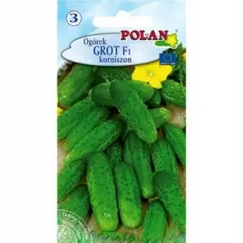 ogorek-grot-polan