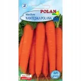 marchew-nantejska-polan