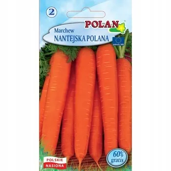 marchew-nantejska-polan