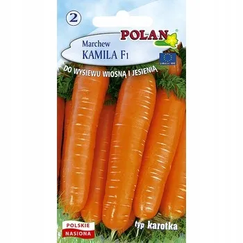 marchew-kamila-polan