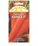 marchew-kamila-polan-cykl-rozwojowy-rosliny-jednoroczna