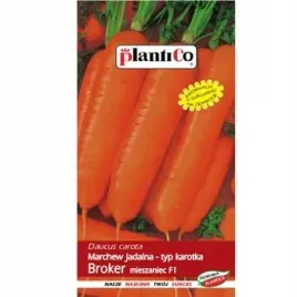 marchew-jadalna-broker-f1-plantico