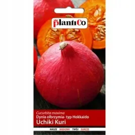 dynia-olbrzymia-uchiki-kuri-typ-hokkaido-plantico