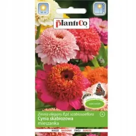 cynia-skabiozowa-mieszanka