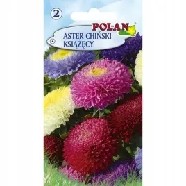 aster-chinski-ksiazecy-mieszanka-polan