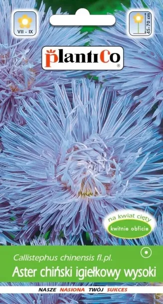 aster-chinski-karlowy-mieszanka-odmiana-chinski-karlowy-mix