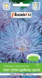 aster-chinski-karlowy-mieszanka-odmiana-chinski-karlowy-mix
