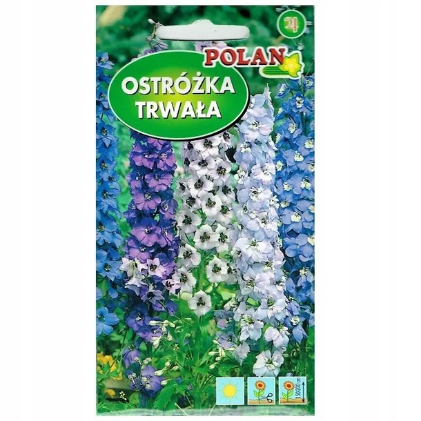 aster-chinski-igielkowy-mieszanka-waga-z-opakowaniem-0-05-kg