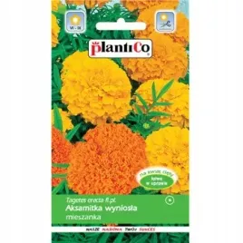 aksamitka-wyniosla-mieszanka