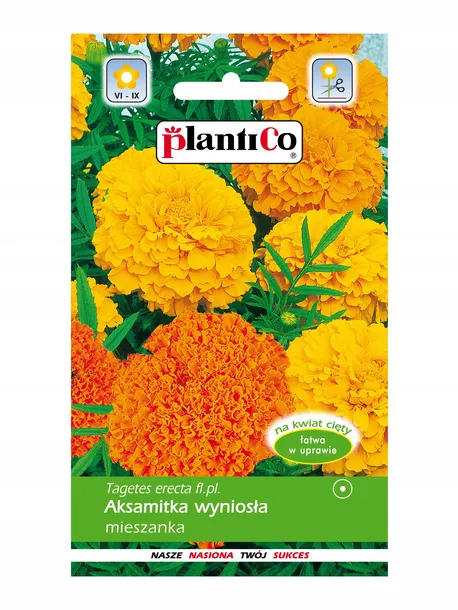 aksamitka-wyniosla-mieszanka-styl-ogrod-wiejski