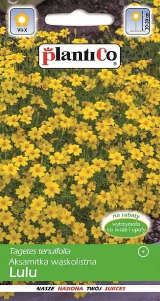 aksamitka-waskolistna-zolta-waga-z-opakowaniem-0-01-kg