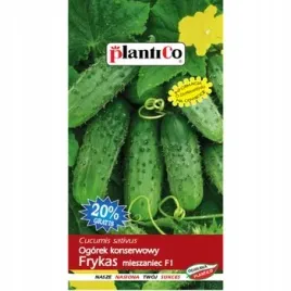 ogorek-konserwowy-frykas-mieszaniec-f1-plantico