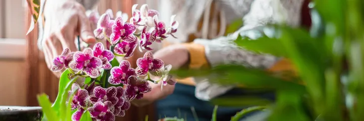 mineral-zel-do-storczykow-05l-okres-stosowania-caly-rok