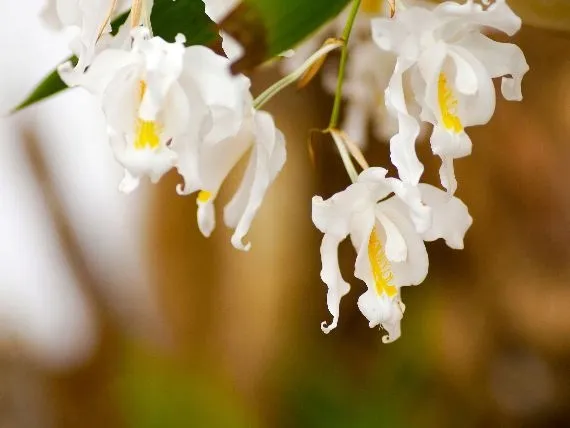 mineral-zel-do-storczykow-05l-stan-nowy-kod-producenta-5902341005605