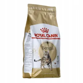 royal-canin-bengal-adult-2kg