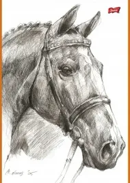 szkicownik-a4-20-kartek-pakiet-10-sztuk