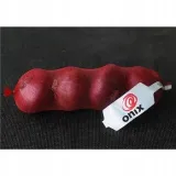 cebula-czerwona-tuba-4szt