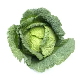 kapusta-wloska-1szt