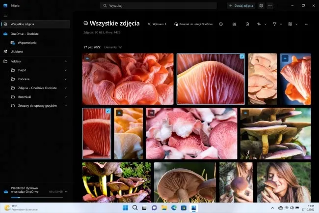 windows-11-home-box-usb-pl-wersja-windows-11