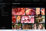 windows-11-home-box-usb-pl-wersja-windows-11