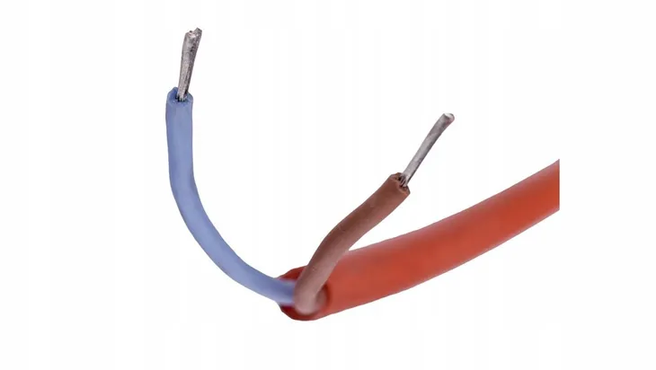 sonda-do-regulatora-temperatury-rt-2-fandf-rodzaj-czujnika-temperatury