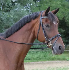 wodze-parciane-ze-stoperami-czarne-pony-covalliero