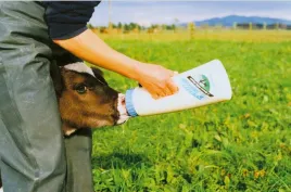 butelka-do-szybkiego-karmienia-speddy-feeder-cielat-25l-kerbl