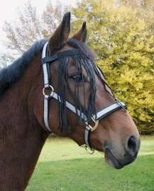 naczolek-z-frendzelkami-na-rzep-dla-konia-czarny-full-covalliero