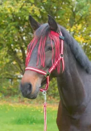 naczolek-z-frendzelkami-dla-konia-r-full-czerwony-covalliero