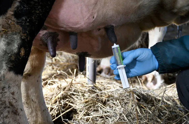 duomast-c-srodek-prewencyjny-na-mastitis-25-sztuk-waga-z-opakowaniem-2-kg